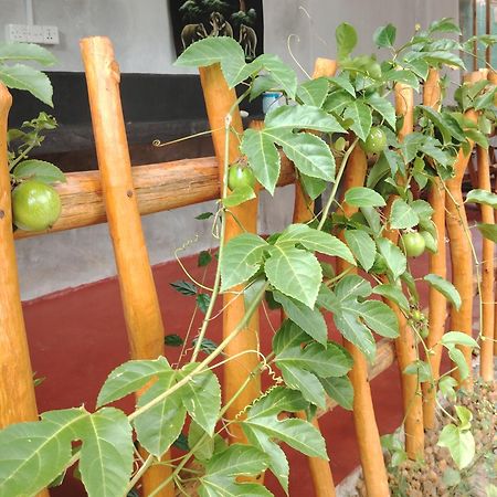 Nature Lovers Safari & Villa Удавалаве Екстериор снимка
