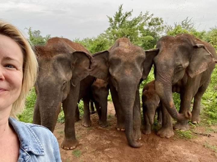 Nature Lovers Safari & Villa Удавалаве Екстериор снимка
