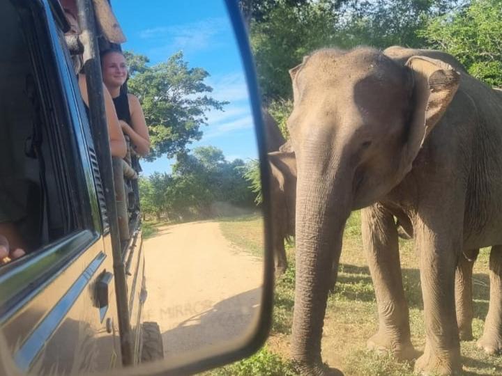Nature Lovers Safari & Villa Удавалаве Екстериор снимка