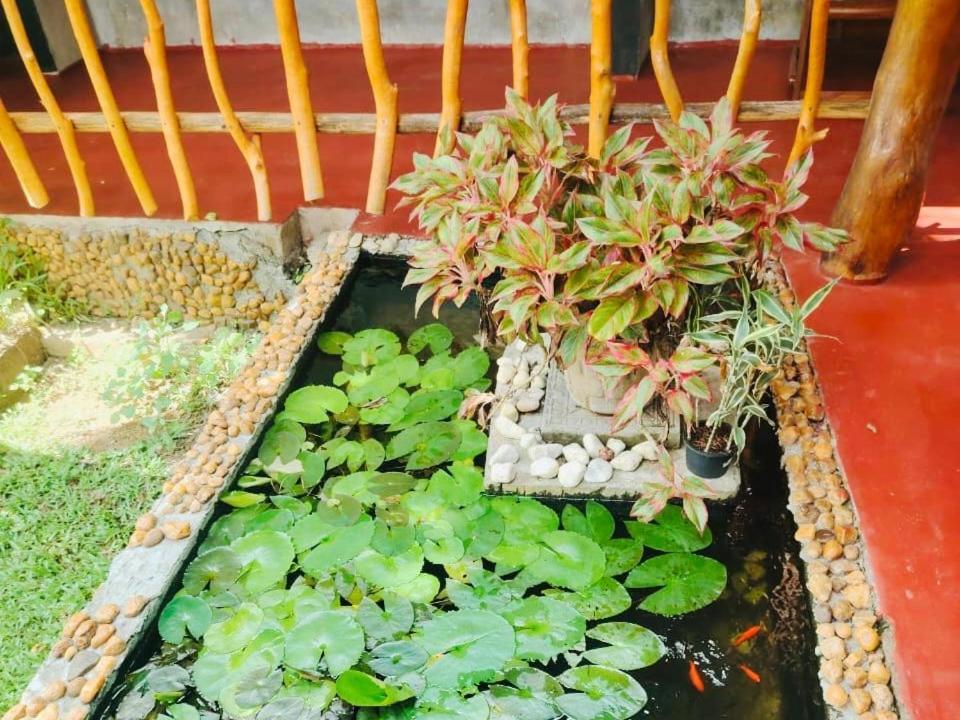 Nature Lovers Safari & Villa Удавалаве Екстериор снимка